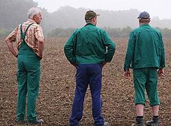 Más de 4.600 cooperativas alemanas exitosas (más de 20 millones de alemanes asociados)