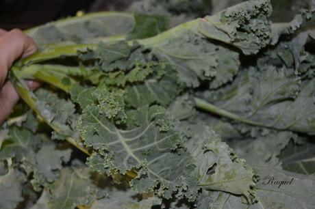 Kale con patata hervida y Jamón Ibérico