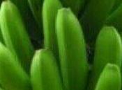 ¿Cómo Hacer Arepas Cambur Banana Verde?