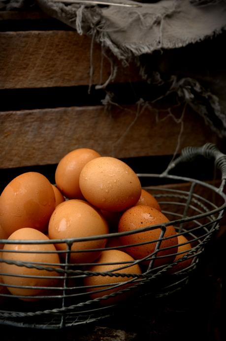 Greixonera, un paseo por las islas Pitiusas