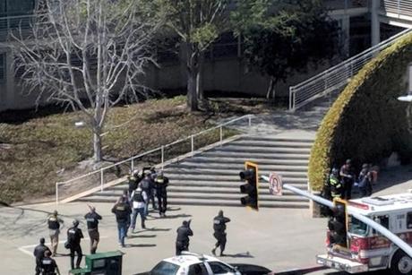 NARCH/NARCH30 3TP MNDTY