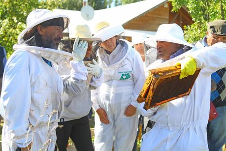 Lanzan programa de promoción y fomento apícola 2018 en la comuna de Colbún                              