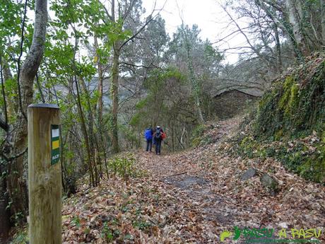 Bosque bajando al Puente de Castrillón