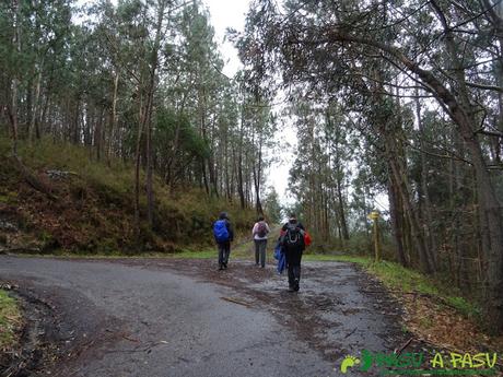 Camino a Piñeira