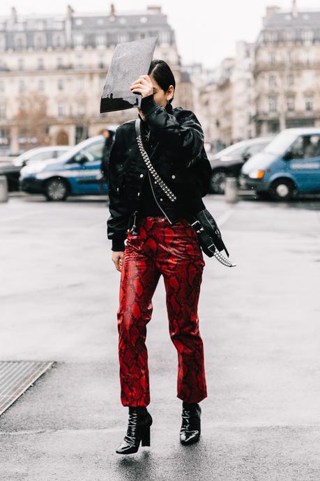 PARIS FALL 18/19 STREET STYLE IV