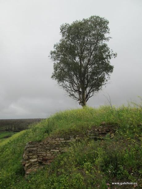 Fuerte de Telena