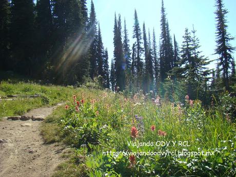 Que hacer, a donde ir, que visitar en Revelstoke