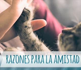Buscando un porque Buscando un porque
