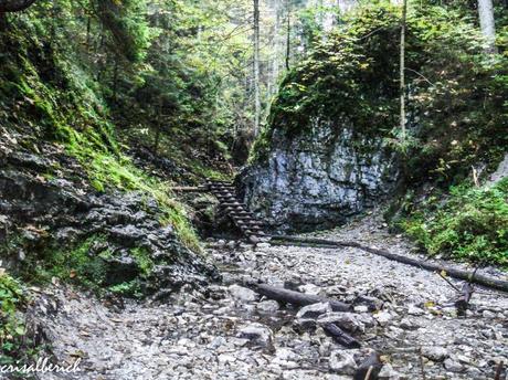 Slovensky raj, el paraíso eslovaco Ruta suchá belá - PN Slovensky raj