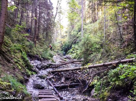 Slovensky raj, el paraíso eslovaco Ruta Suchá belá - Slovensky raj