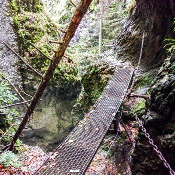 Slovensky raj, el paraíso eslovaco Puente Slovensky raj