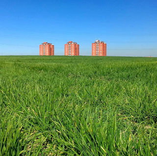 Imagen que nos envía Christian Cortínez de los campos de ...