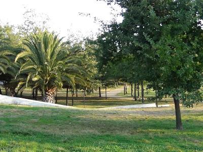 Fotografiando el Parque Ohiggins