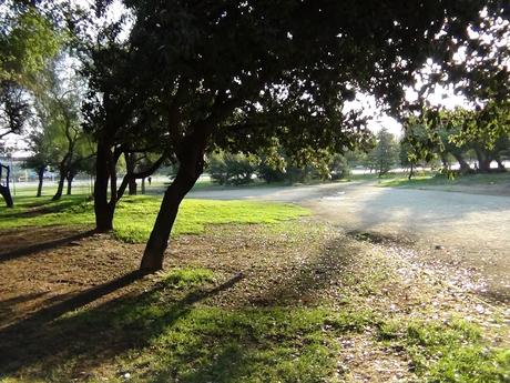 Fotografiando el Parque Ohiggins