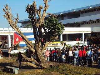 Sagua la Grande visperas del día de la Industria Pesquera [+ fotos y video]