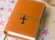 ¿Crisis bullet journal?