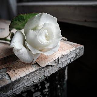 EN LA VIEJA CALLE...