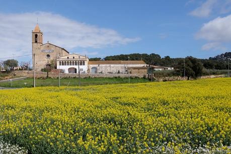 ARRÒS DE PALS, ESTRELLA DE LA GASTRONOMIA EMPORDANESA