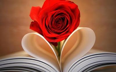 Libros para regalar este Sant Jordi (Día del Libro 2018)