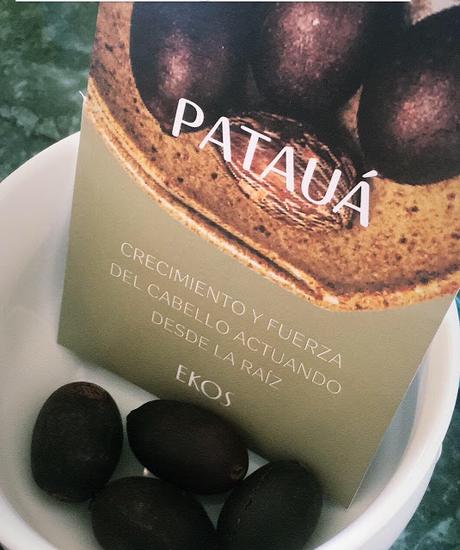 Los 3 nuevos ingredientes de Natura: Patauá, Uucuba y Cumarú.