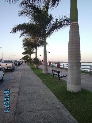 Mi tierra subtropical Mi tierra subtropical