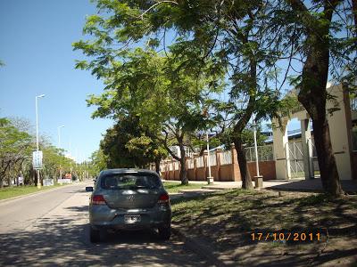 Mi tierra subtropical Mi tierra subtropical