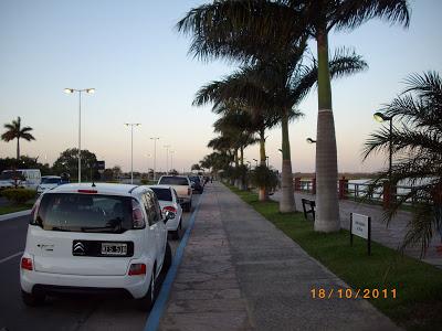 Mi tierra subtropical Mi tierra subtropical