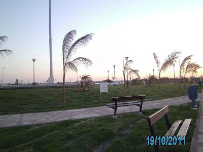 Mi tierra subtropical Mi tierra subtropical