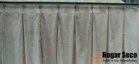 Consejos para prevenir y eliminar el moho en casa cortinas-bano-afectadas-moho