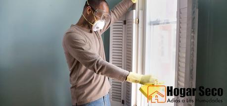 Consejos para prevenir y eliminar el moho en casa
Eliminar-moho