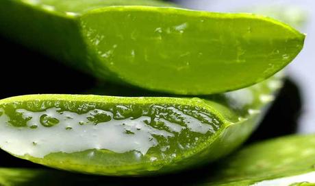 Jugo de aloe vera para adelgazar - Trucos de salud caseros