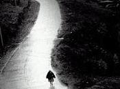 camino vida.