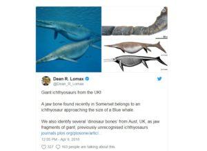 Hallan fósiles del monstruo marino más grande de la prehistoria y resuelven un acertijo de 150 años moustros marino