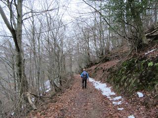El Pino-Corramartón-Los Col.laos-Rocabiel.lo-La Gorbizosa-Brañavieya