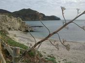Cabo Gata allá verano