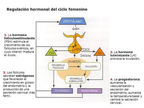 SOP Post Píldora Anticonceptiva