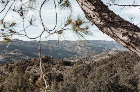 Qué ver en el Priorat