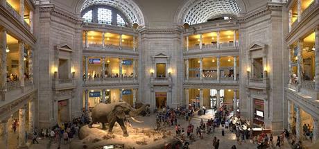 Que Ver En Washington DC | 10 Lugares Que No Te Puedes Perder