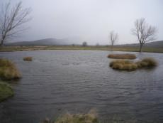 Contrastes de primavera