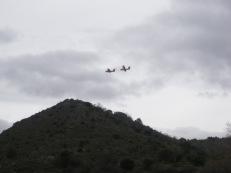 Contrastes de primavera Contrastes de primavera