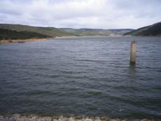 Contrastes de primavera Contrastes de primavera