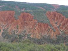 Contrastes de primavera Contrastes de primavera