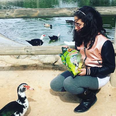 Universidad San Vicente del Raspeig, 