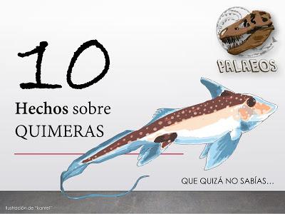 10 hechos sobre quimeras que quizá no sabías... 10 hechos sobre quimeras que quizá no sabías...