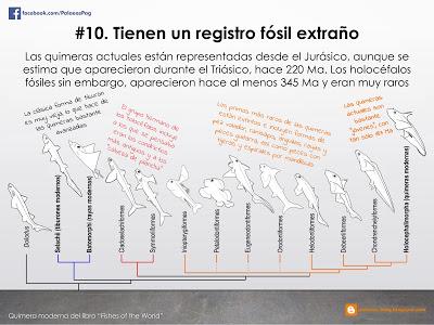 10 hechos sobre quimeras que quizá no sabías...