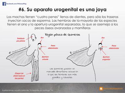 10 hechos sobre quimeras que quizá no sabías...