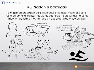 10 hechos sobre quimeras que quizá no sabías... 10 hechos sobre quimeras que quizá no sabías...