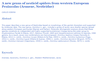 Nuevo género de arañas de cuevas de España e Italia