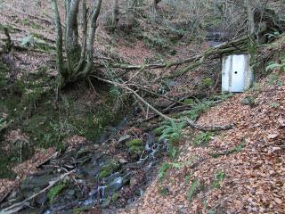 Por los praos y mayaos de L.lamas