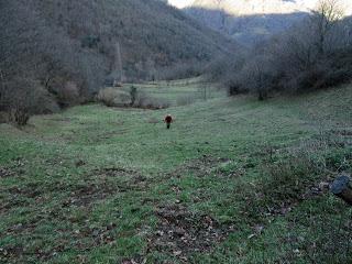 Por los praos y mayaos de L.lamas